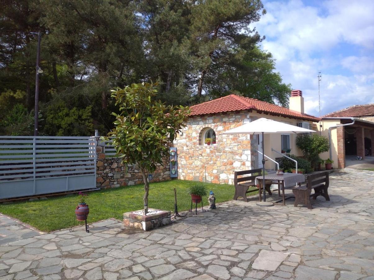 Amisiana Little Beauty Next To Nature Kavala